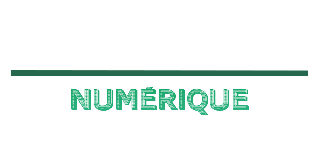 logo borne numerique blanc png transparent copie